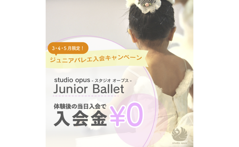 Junior Ballet春の入会キャンペーン ！